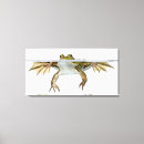 Search for edibility art Wildlife