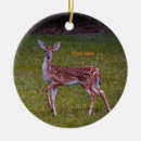 Search for fawn ornaments Cute