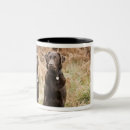 Search for black labrador retriever mugs Animal