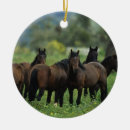 Search for mustang ornaments Mountains
