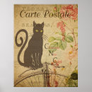 Search for french cat posters Cats