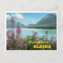 Search for alaska cruise postcards Retro