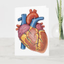 Search for human heart cards Medical