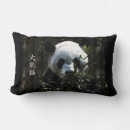 Search for giant panda pillows Pandas