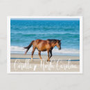 Recherche de outer banks posters Océan