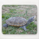 Search for turtle mousepads Animal