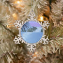 Search for enchanted ornaments Snow