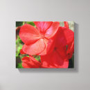 Search for geranium canvas prints Plant