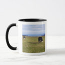 Search for cows in field mugs Outdoors