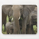 Search for tanzania mousepads Serengeti national park