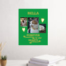 Recherche de mémorial chat posters Pour tous