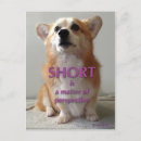 Search for funny corgis postcards Welsh