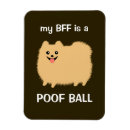 Search for pomeranian magnets Dog
