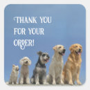 Search for dog thank stickers Chihuahua