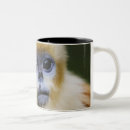 Search for brown eyes mugs Wildlife