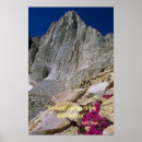 Search for the mountains are calling posters Nature