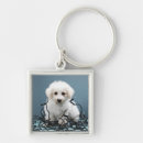 Recherche de photo studio keychains Se reposer