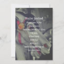 Search for carousel party invitations Horse