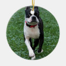 Search for dog run ornaments Canine