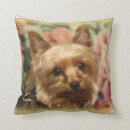 Recherche de yorkie coussins Maison