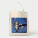 Recherche de cligner Hibou