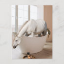 Recherche de baignoires cartes postales Salle de bain