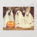 Search for jackolantern postcards Funny