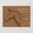 Search for save a horse postcards Western