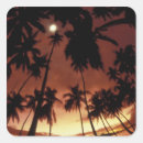 Search for palm tree silhouette stickers Ocean