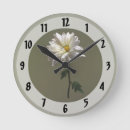 Recherche de marguerite blanche horloges Jardin