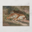 Search for 1887 postcards Artist