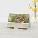 Search for rails cards Nature