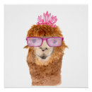 Recherche de de chameau posters Animal