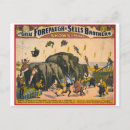Search for forepaugh postcards Vintage