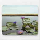 Search for leisure electronics Lake