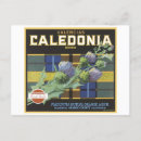 Search for caledonia postcards Travel