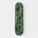 Recherche de vignes skateboards Vert