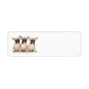 Search for domestic return address labels Cute