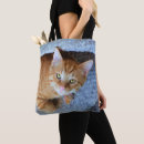 Recherche de yeux oranges sacs Chat