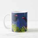 Search for magpie mugs Nature