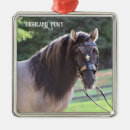 Search for pony ornaments Horse
