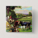 Search for cow and chicken buttons Horse