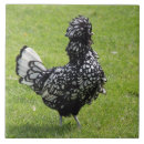 Search for french tiles White