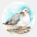 Search for study stickers Bird