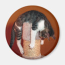 Recherche de appui vertical magnets Drôle