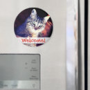 Recherche de kitty photographie Pour tous
