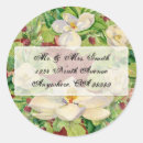 Search for nature stickers Pine