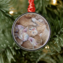 Search for orange kitten ornaments Animal