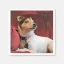 Recherche de russell serviettes Animal