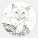 Search for cat portrait stickers Kitten